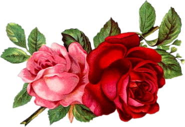 Vintage roses clipart