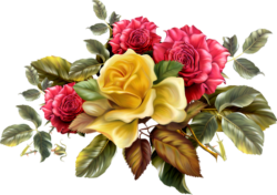 Flowers, vintage
