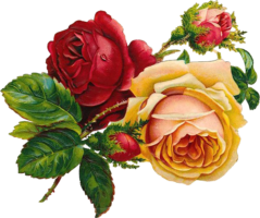 Flowers bouquet vintage