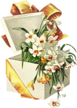 Vintage flowers, postcards