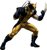 Wolverine