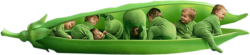 Pea Children