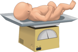 Newborn