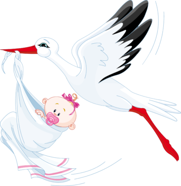 The stork carries the baby