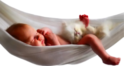 The baby is sleeping