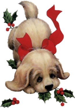 Christmas Puppy
