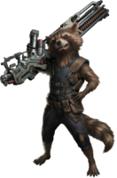 Jet Raccoon