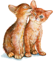 Kittens