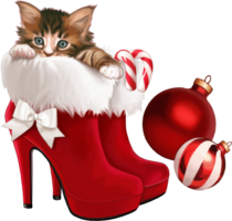 New Year’s Cat