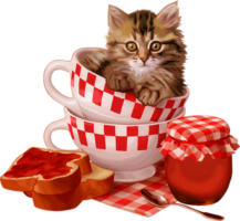 Postcard with a cat