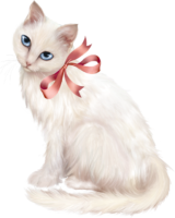 White Cat