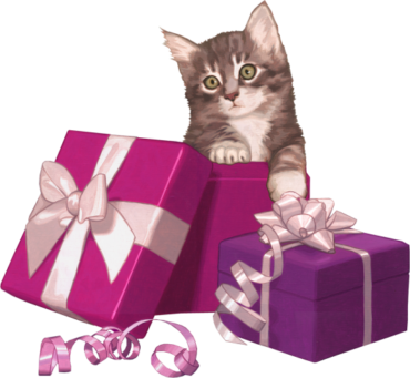 Cat with a gift