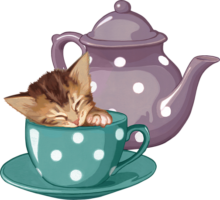 A kitten in a cup