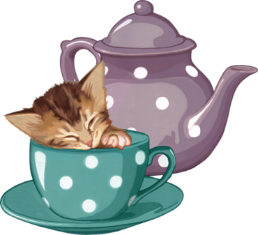 A kitten in a cup