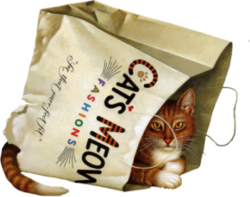 The cat in the bag