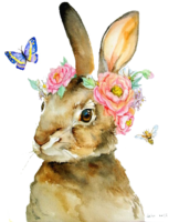 Rabbit watercolor