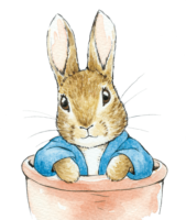 Peter Rabbit