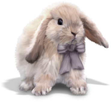 Decorative rabbit