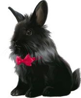 Black Rabbit