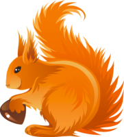 Clipart squirrels