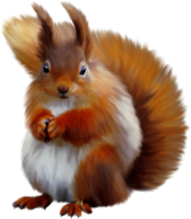 Squirrel with a nut