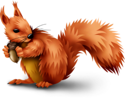 Red squirrel art