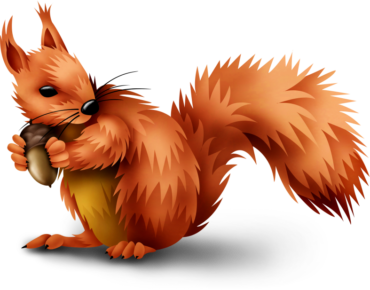 Download PNG Red squirrel art - Free Transparent PNG