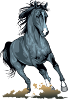 Grey Horse