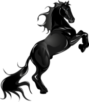 Black Horse