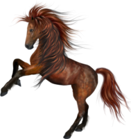 Horse, knight