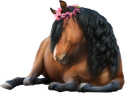Horse art