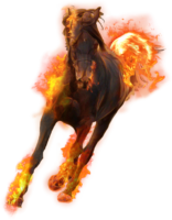 Fire Horse