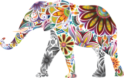 Indian Elephant