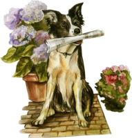 Dog clipart