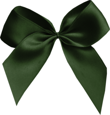 Green satin bow