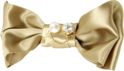 Beautiful bow