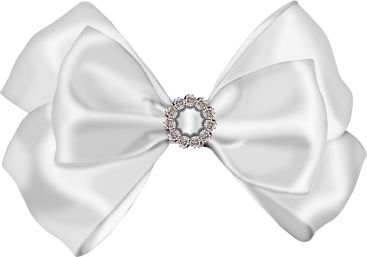 Beautiful white bow