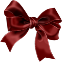 Burgundy bow