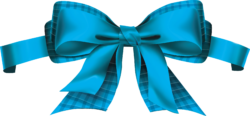 Blue Bow