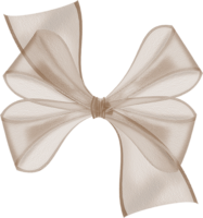 The bow is transparent