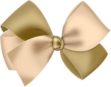 Beautiful satin ribbon bow