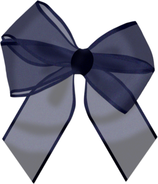 Blue Transparent bow