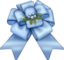 Blue Bow