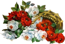 Vintage flowers