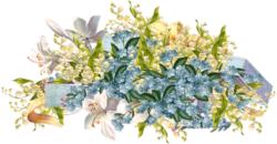 Vintage flowers, forget-me-nots