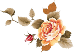Vintage Tea Rose