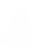 Rays of light