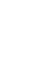 Vertical Curtain