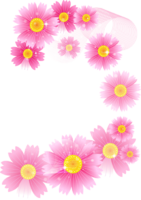 Flowers background