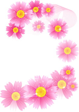 Flowers background